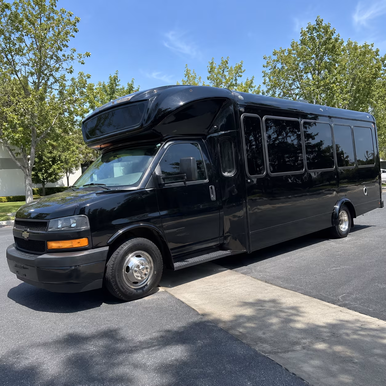Henderson Prom & Homecoming Transportation party bus interior
